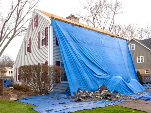 Best Vinyl Siding Installation  in New Ulm, MN